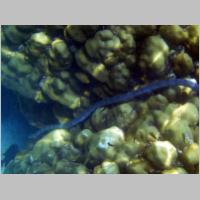 047 poszedl sobie.html